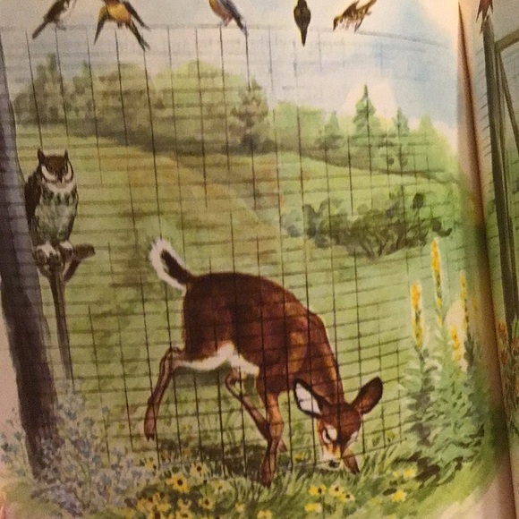 Dandelion Library flip double story vintage childrens books collection 1950s 📚6 - Picture 13 of 16